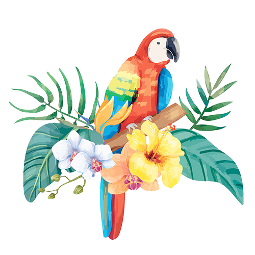 Website Designing Company in Delhi NCR ,